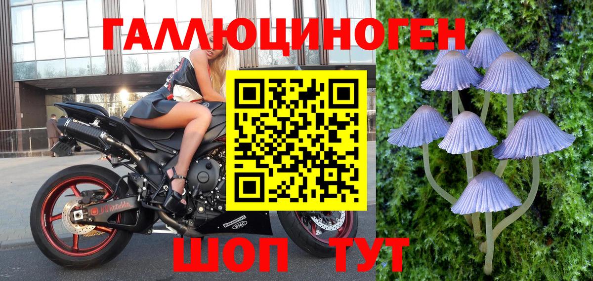 Ялуторовск  дарнет шоп  Вход с VPN  Галлюциногенные грибы Cubensis 